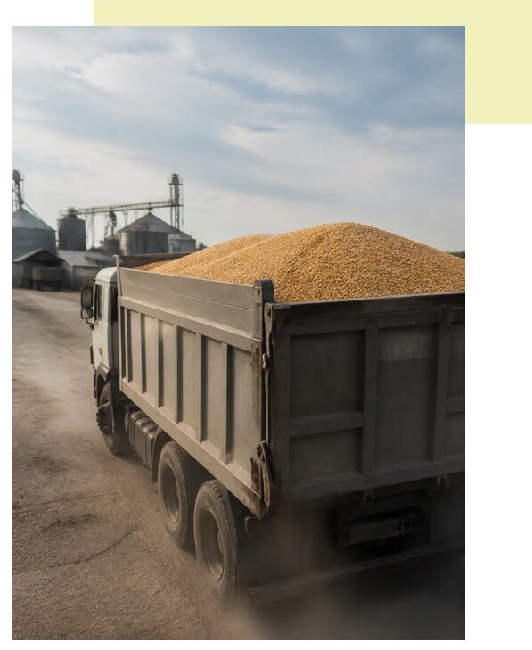 Перевозка сельхозпродукции навалом в Сокола по цене от 3126 р. | Агросервис-Скл